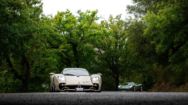 How Can We Better Support Pet Adoption in the UK?